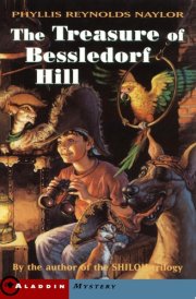 Bernie Magruder & the Pirate's Treasure cover image