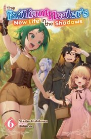 The Brilliant Healer's New Life in the Shadows: Volume 6 (Light Novel) cover image