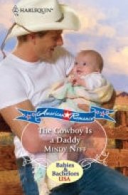 The Cowboy is a Daddy cover image