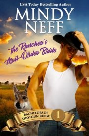 The Rancher's Mail-Order Bride: A FREE small town contemporary romance all about cowboys cover image