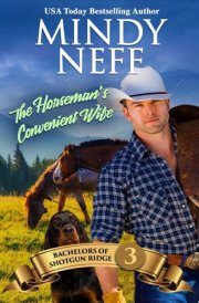 The Horseman's Convenient Wife: A small-town, marriage-of-convenience, single dad western romance cover image