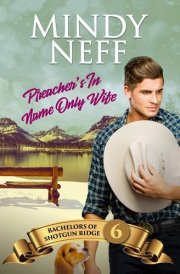 Preacher's In-Name-Only Wife Small Town Contemporary Romance cover image