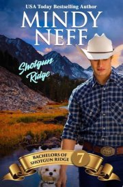 Shotgun Ridge: A small-town, single mother, forced proximity western romance cover image