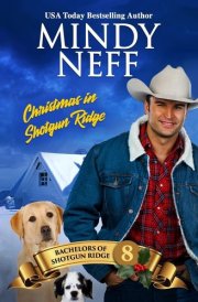 Christmas in Shotgun Ridge Small Town Holiday Romance cover image