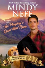 The Playboy's Own Miss Prim: A small-town, secret baby, millionaire western romance cover image