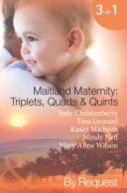 Maitland Maternity: Triplets, Quads & Quints: Triplet Secret Babies / Quadruplets on the Doorstep / Great Expectations / Delivered with a Kiss / And Babies Make Seven (Mills & Boon Spotlight) cover image