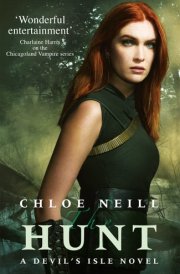 The Hunt A Devil's Isle Novel cover image