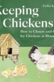 Keeping Chickens How to Choose and Care for Chickens at Home