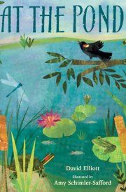 At the Pond (Paws, Fins, Feathers, Claws)