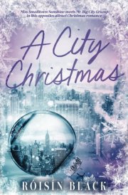 A City Christmas Miss Small Town Sunshine Meets Mr. Big City Grump In This Opposites Attract Christmas Romance