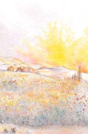The Three Little Pigs cover image