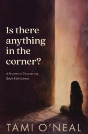 Is There Anything in the Corner? A Journey in Discovering God's Faithfulness cover image