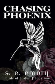 Chasing Phoenix cover image