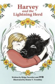 Harvey and the Lightning Herd cover image