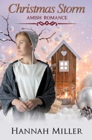 Christmas Storm cover image
