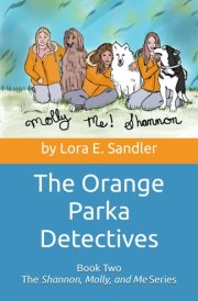 The Orange Parka Detectives: Book Two The Shannon, Molly, and Me Series cover image