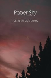 Paper Sky Prose Poems cover image
