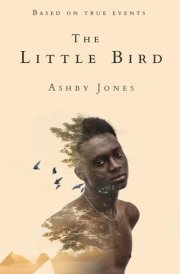 The Little Bird cover image