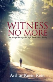 Witness No More cover image