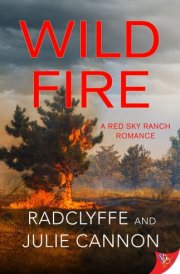 Wild Fire cover image