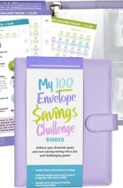 My 100 Envelope Savings Challenge Binder (removable cover band for security) cover image