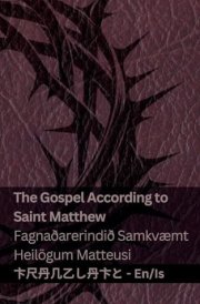 The Bible (The Gospel According to Saint Matthew) / Biblían (Fagnaðarerindið Samkvæmt Heilögum Matteusi) Tranzlaty English Íslenska cover image