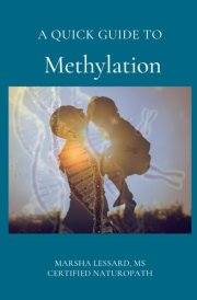 A Quick Guide to Methylation (Health Quick Guides) cover image