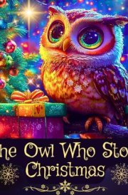 The Owl Who Stole Christmas A Cute Kids Christmas Book about Friendship and Holiday Magic cover image
