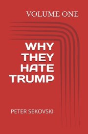 WHY THEY HATE TRUMP: VOLUME ONE cover image