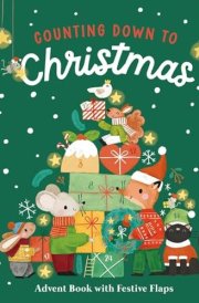 Counting Down To Christmas cover image