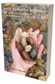 The Five Ascension Gifts in the Heavenly Shepherd's Bag cover image