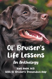 Ol' Bruiser's Life Lessons An Anthology cover image