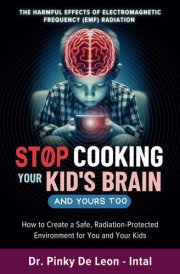 Stop Cooking Your Kid's Brain and Yours Too: How to Create a Safe, Radiation-Protected Environment for You and Your Kids cover image