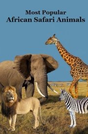 Most Popular African Safari Animals Kids Book Great Book for Children about Safari Animals in Africa cover image