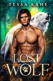 Lost Wolf MM Shifter Romance cover image