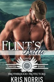 Flint's Battle: Brotherhood Protectors World (Team KOA Bravo) cover image