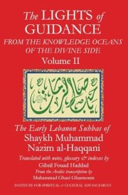 The Lights of Guidance from the Knowledge Oceans of the Divine Side, Volume 2 cover image