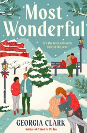 Most Wonderful A Christmas Novel cover image