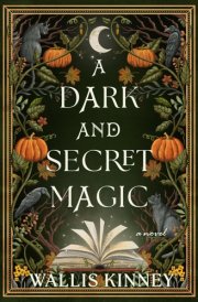 A Dark and Secret Magic A Novel cover image