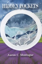Hidden Pockets cover image