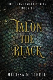 Talon the Black cover image