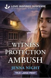 Witness Protection Ambush cover image