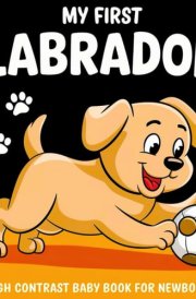 My first Labrador High Contrast Baby Book for Newbors 0-12 Months: Simple Black and White Labrador-Retrievier Themed Pictures To Develop Baby's ... Infants (Dog Breeds High Contrast Baby Books) cover image