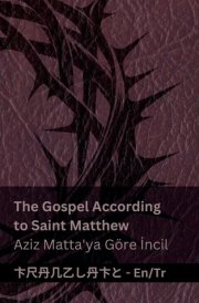 The Bible (The Gospel According to Saint Matthew) / İncil (Aziz Matta'ya Göre İncil) Tranzlaty English Türkçe cover image