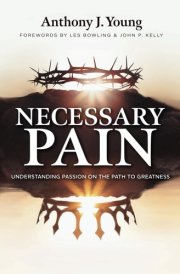 Necessary Pain: Understanding Passion on the Path to Greatness cover image