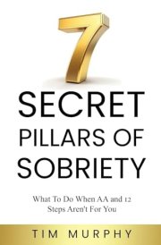 7 Secret Pillars of Sobriety What To Do When AA and 12 Steps Aren't For You cover image