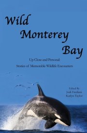 Wild Monterey Bay Up Close and Personal Stories of Memorable Wildlife Encounters: Up Close and Personal Memorable Wildlife Encounters cover image