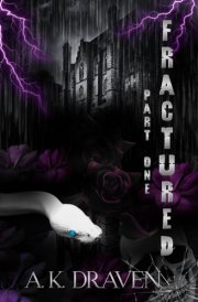 Fractured: Dark Why Choose Hitmen / Hitwoman romance (The Order Duet) cover image