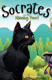 Socrates and the Missing Pearl A Story about Staying Cool and Calm When Clear Thinking Is Needed cover image