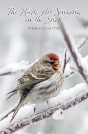The Birds Are Singing In The Snow cover image
